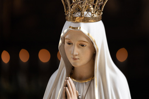 Erzdiözese Wien/ Schönlaub Stephan, Stephan Schönlaub